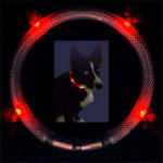 Leuchtie-Halsbaender-rot