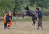 Doggenr�de Loisl